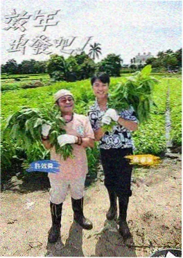 幸存者